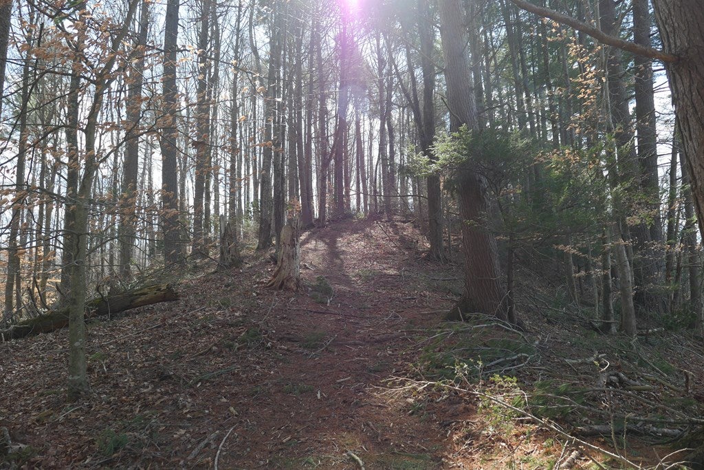 Tbd Rush Creek Road Glade Spring, VA 24340 - Photo 61 of 69 Gallery Image 61