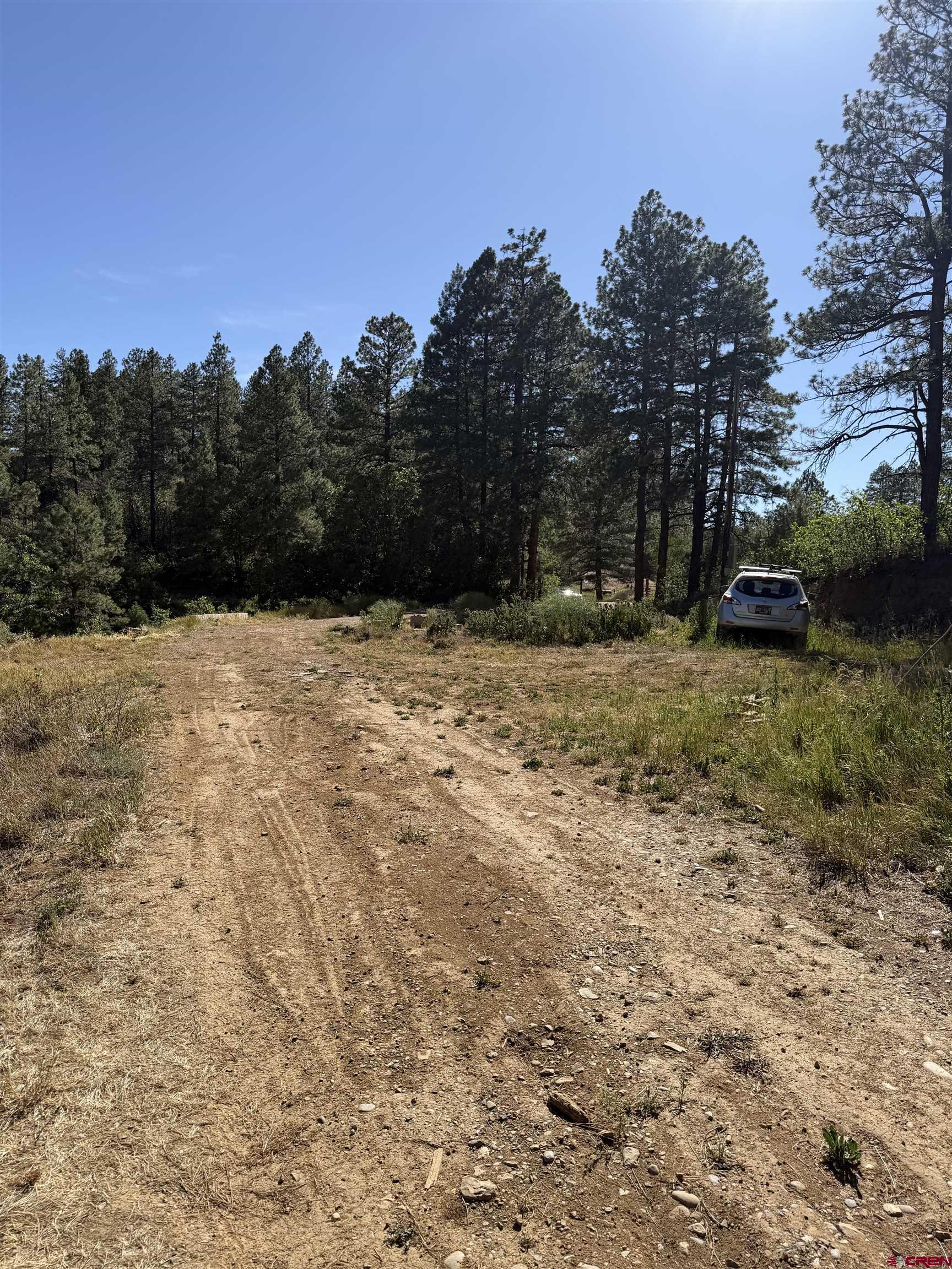 950 Deer Trail Road Durango, CO 81303 - Photo 6 of 13 a view of a yard with trees in the background