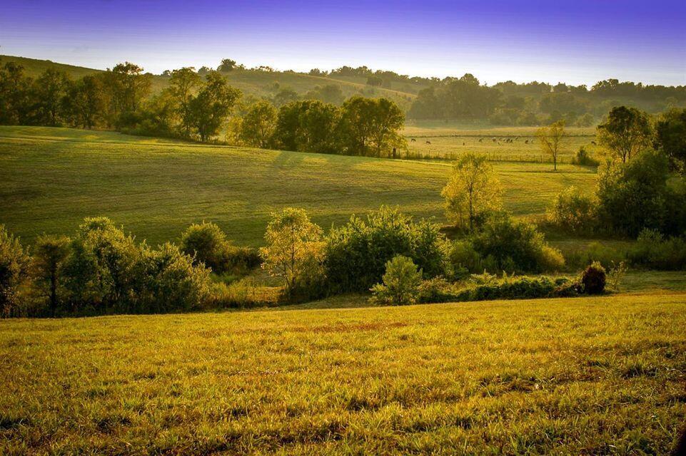 0 Deer Chase Road Danville, KY 40422 - Photo 7 of 21 pic 7