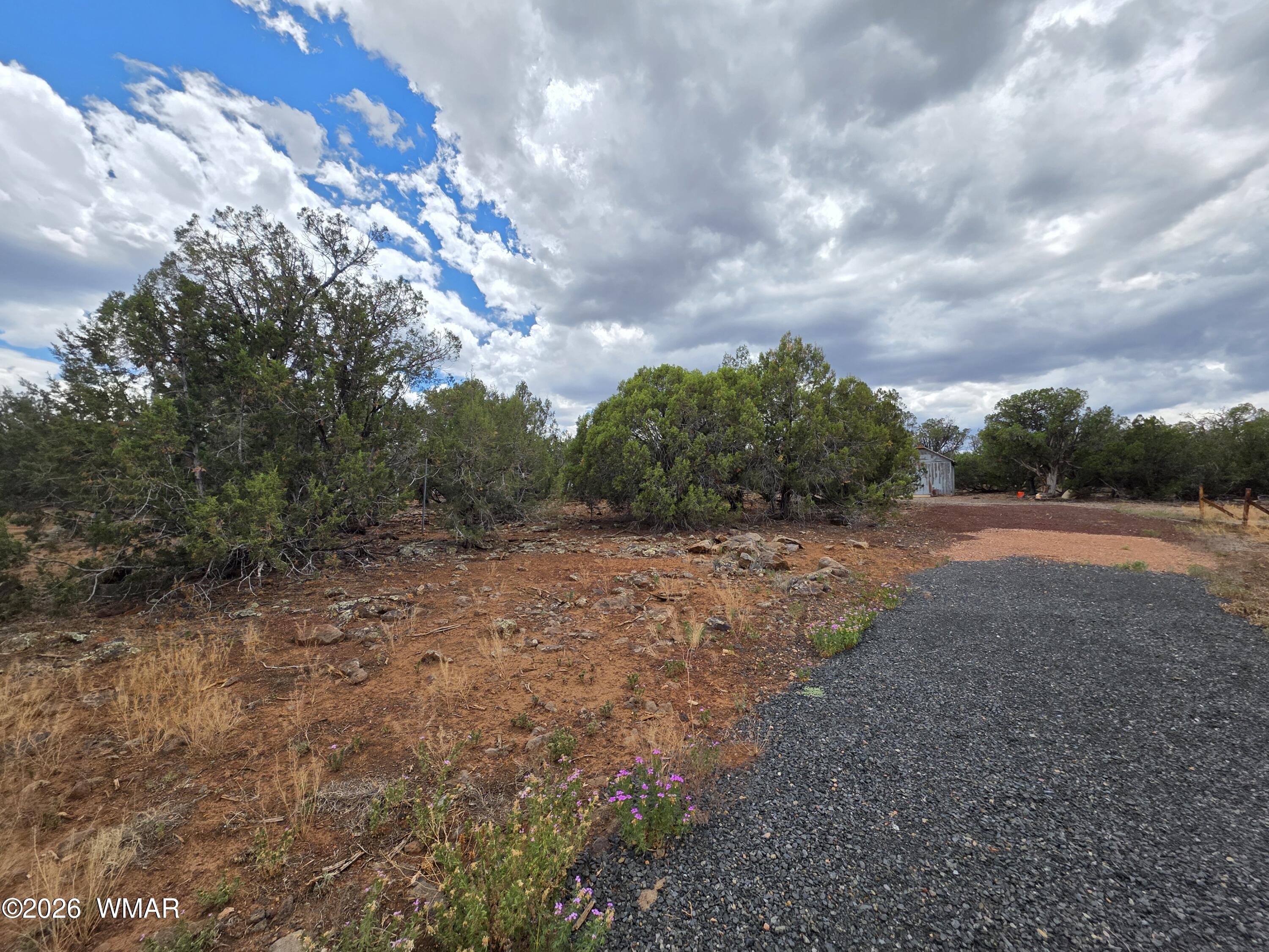 2075 Parker Ranch Road Show Low, AZ 85901 - Photo 3 of 29