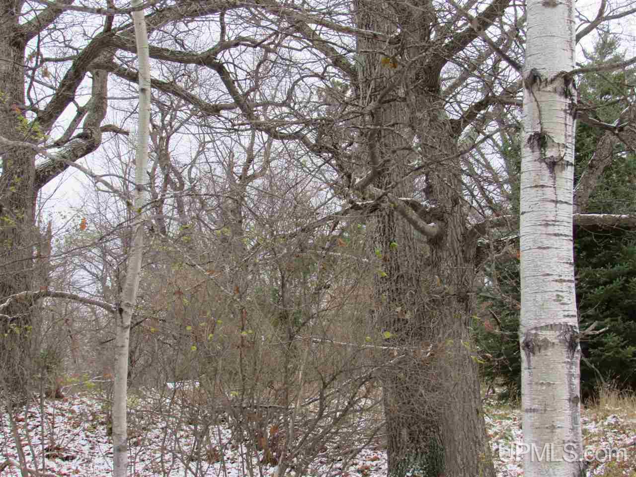 Lot 9 Ford Drive Road Lanse, MI 49946 - Photo 12 of 28