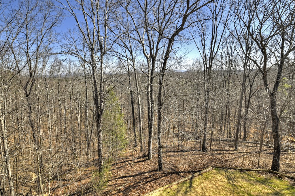 418 Chuck Road Talking Rock, GA 30175 - Photo 20 of 64 Gallery Image 20