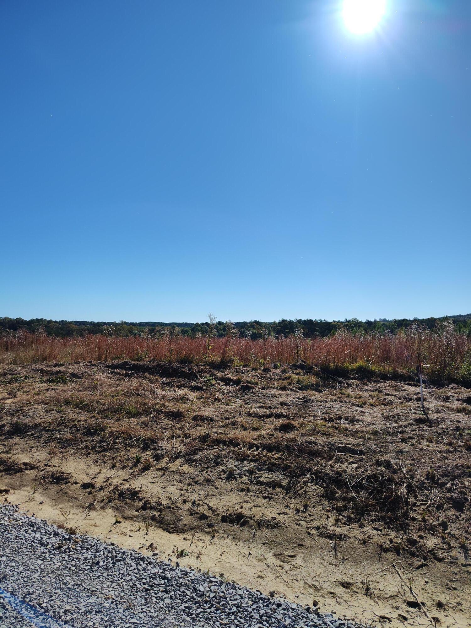 IMG_20251015_101025979