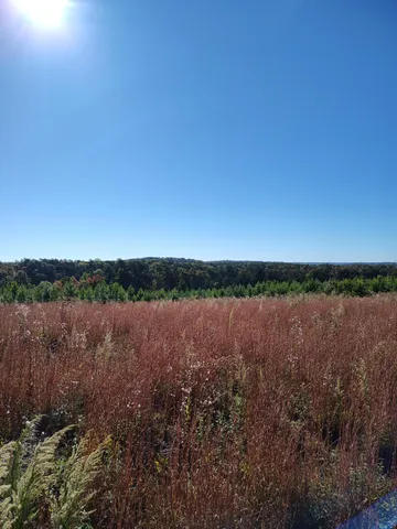 $89,900 | 21 Fredonia Road, Unit 21, Dunlap, TN 37327