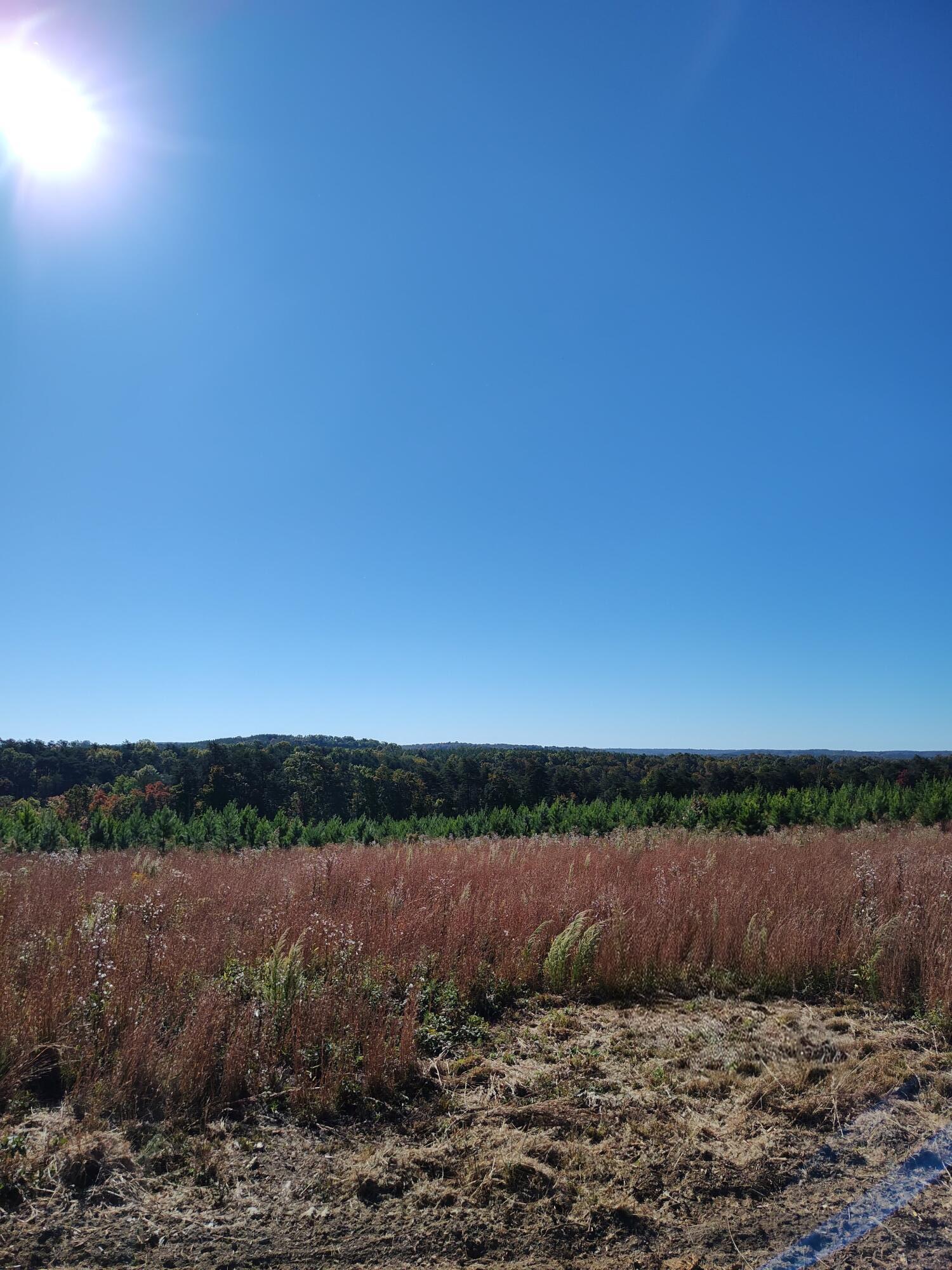 21 Fredonia Road, Unit 21 Dunlap, TN 37327 - Photo 4 of 8 IMG_20251015_100750748~2