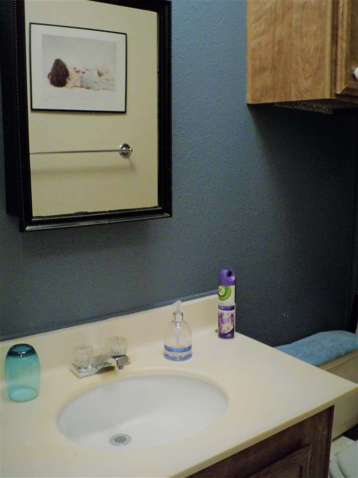 9395 Harritt Road, Unit 257 Lakeside, CA 92040 - Photo 17 of 25 Gallery Image 17