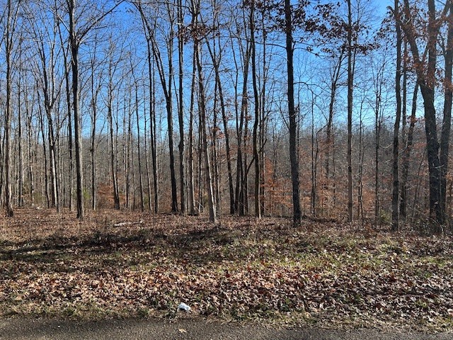 6 Slaughter Road Santa Fe, TN 38482 - Photo 2 of 6 a view of wooden fence