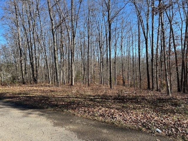 6 Slaughter Road Santa Fe, TN 38482 - Photo 4 of 6 a view of bench with wooden fence