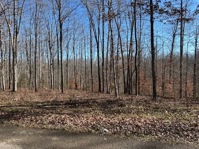 a view of wooden fence