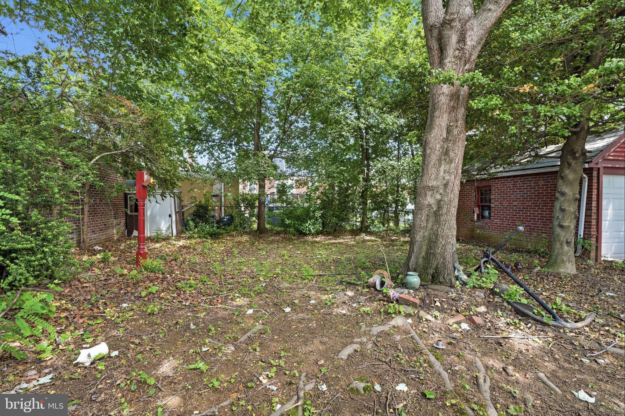 1921 Ripley Street Philadelphia, PA 19111 - Photo 31 of 38 Overgrown backyard with potential charm.