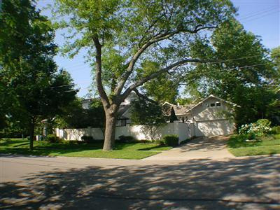 View showing the side entrance to the ho