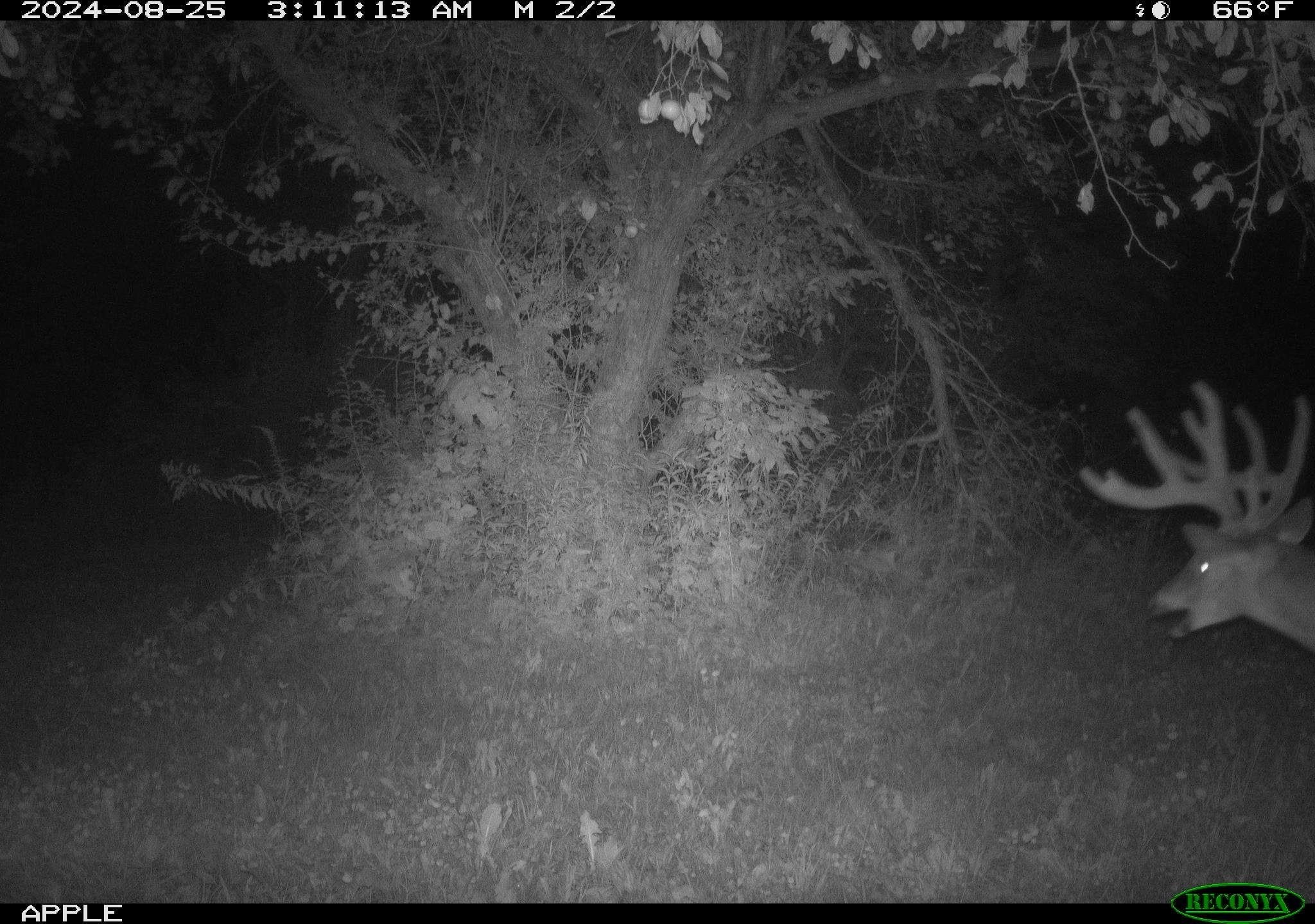 16195-3 Coy Viola, WI 54664 - Photo 12 of 16