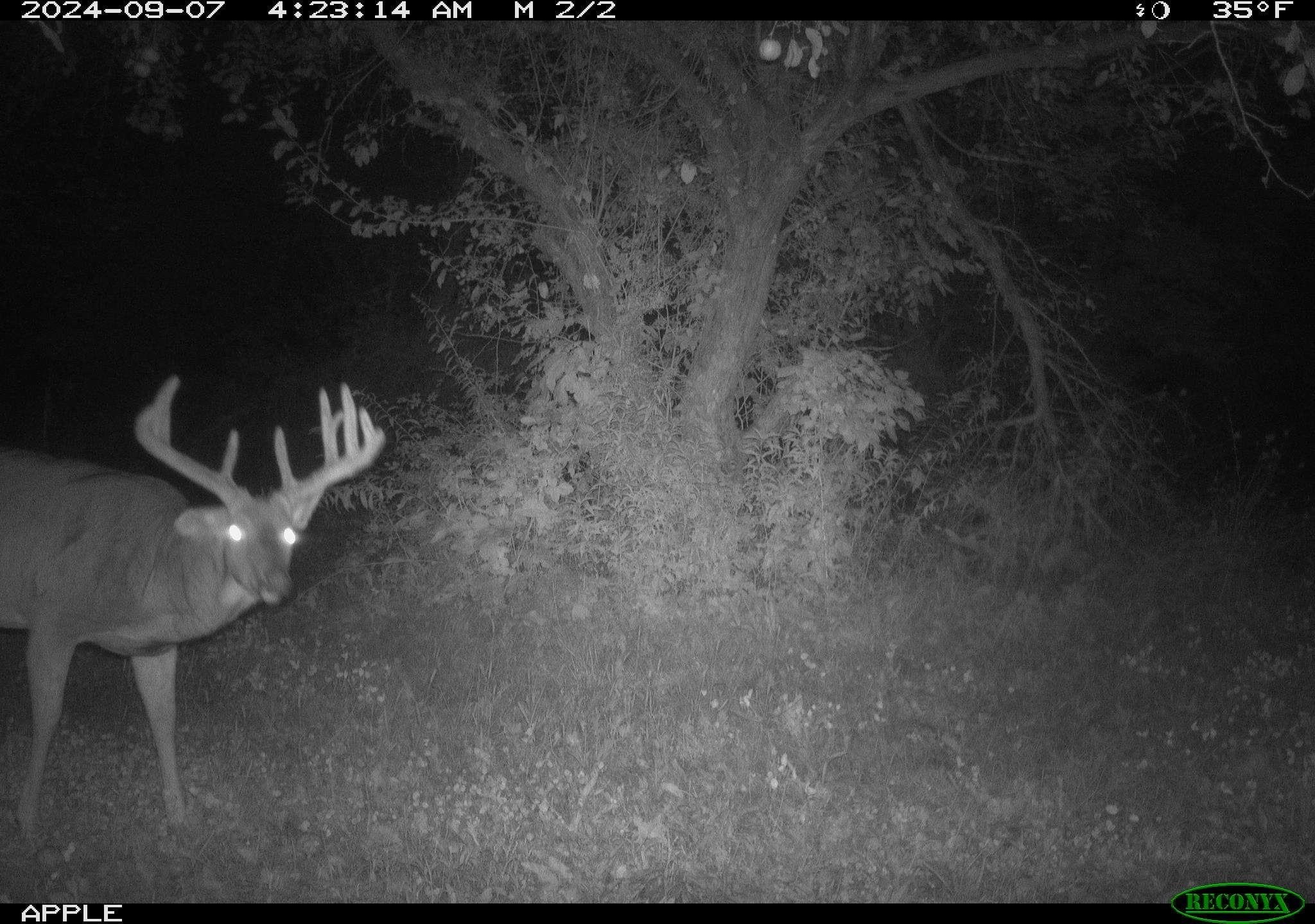 16195-3 Coy Viola, WI 54664 - Photo 13 of 16