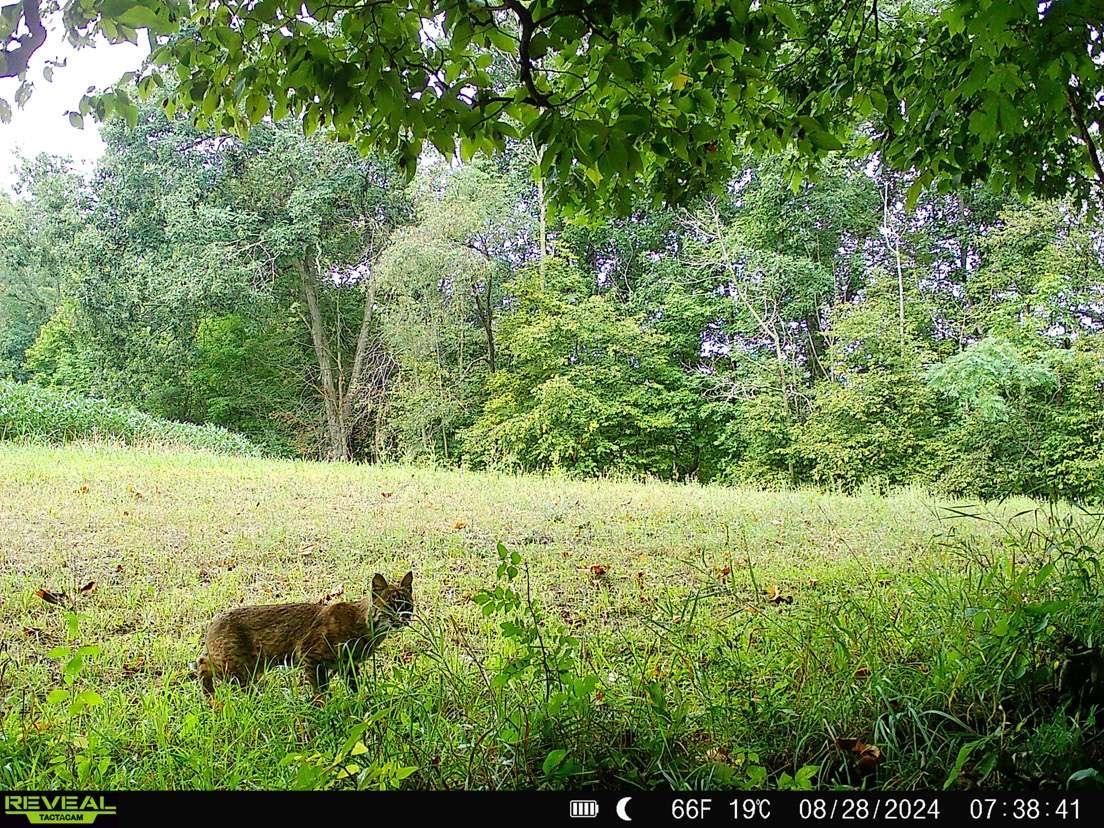 16195-3 Coy Viola, WI 54664 - Photo 16 of 16