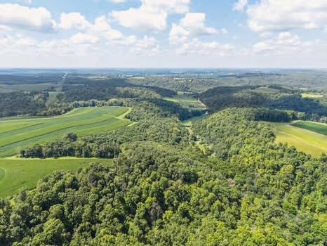 16195-3 Coy Viola, WI 54664 - Photo 2 of 16