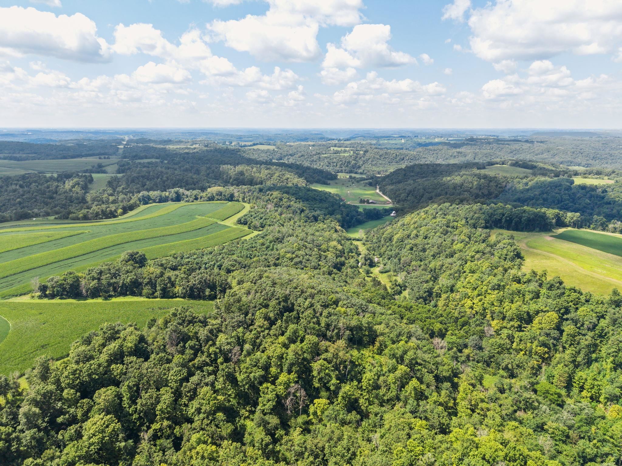 16195-3 Coy Viola, WI 54664 - Photo 7 of 16