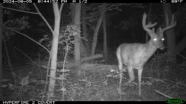 $682,500 | 16195-3 Coy, Viola, WI 54664