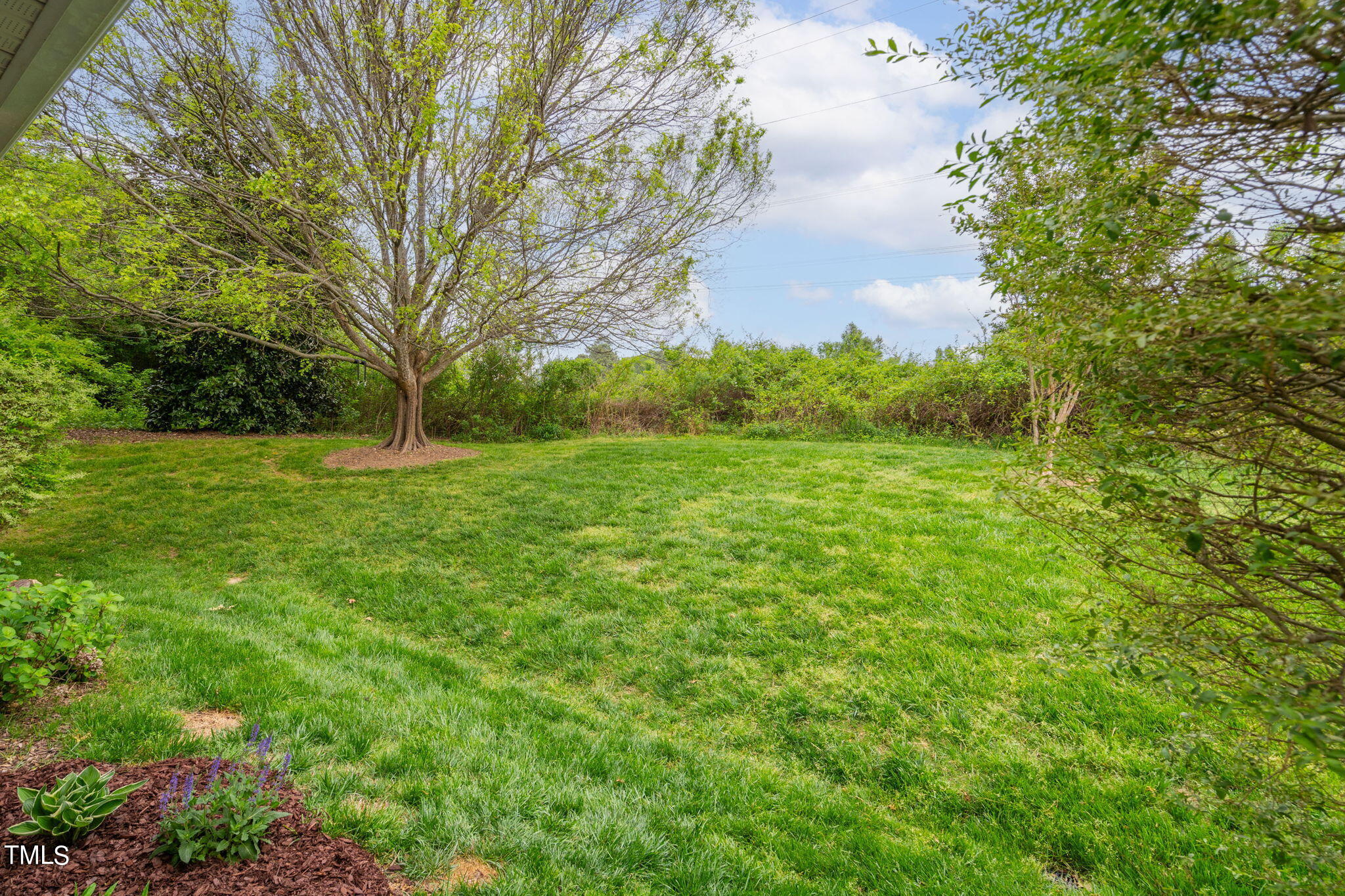 12846 Tee Time Way Raleigh, NC 27614 - Photo 33 of 37 18-web-or-mls-12846-tee-time-way