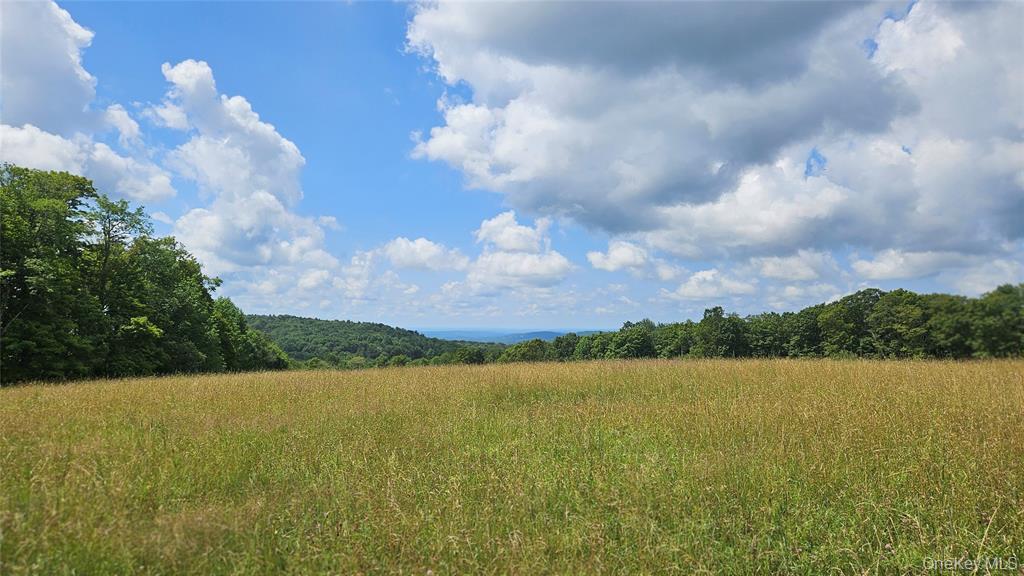 0 Stump Pond Road Callicoon Center, NY 12724 - Photo 4 of 7 a view of city and lake