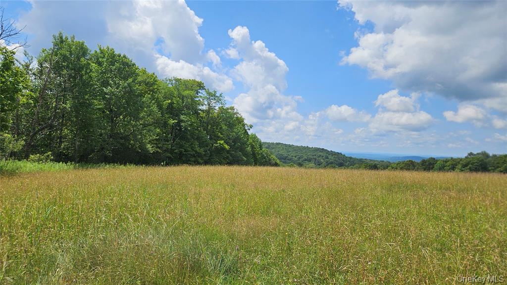 0 Stump Pond Road Callicoon Center, NY 12724 - Photo 5 of 7 a view of an ocean and beach