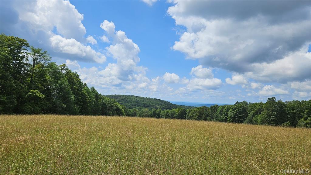 0 Stump Pond Road Callicoon Center, NY 12724 - Photo 6 of 7 a view of a city