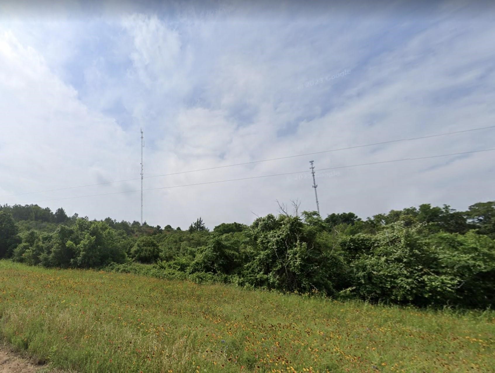 a view of a green field with lots of bushes