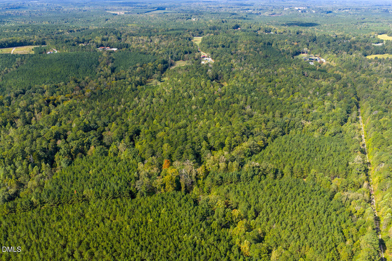 262 Ellis Road Moncure, NC 27559 - Photo 25 of 29 a view of a bunch of trees and bushes