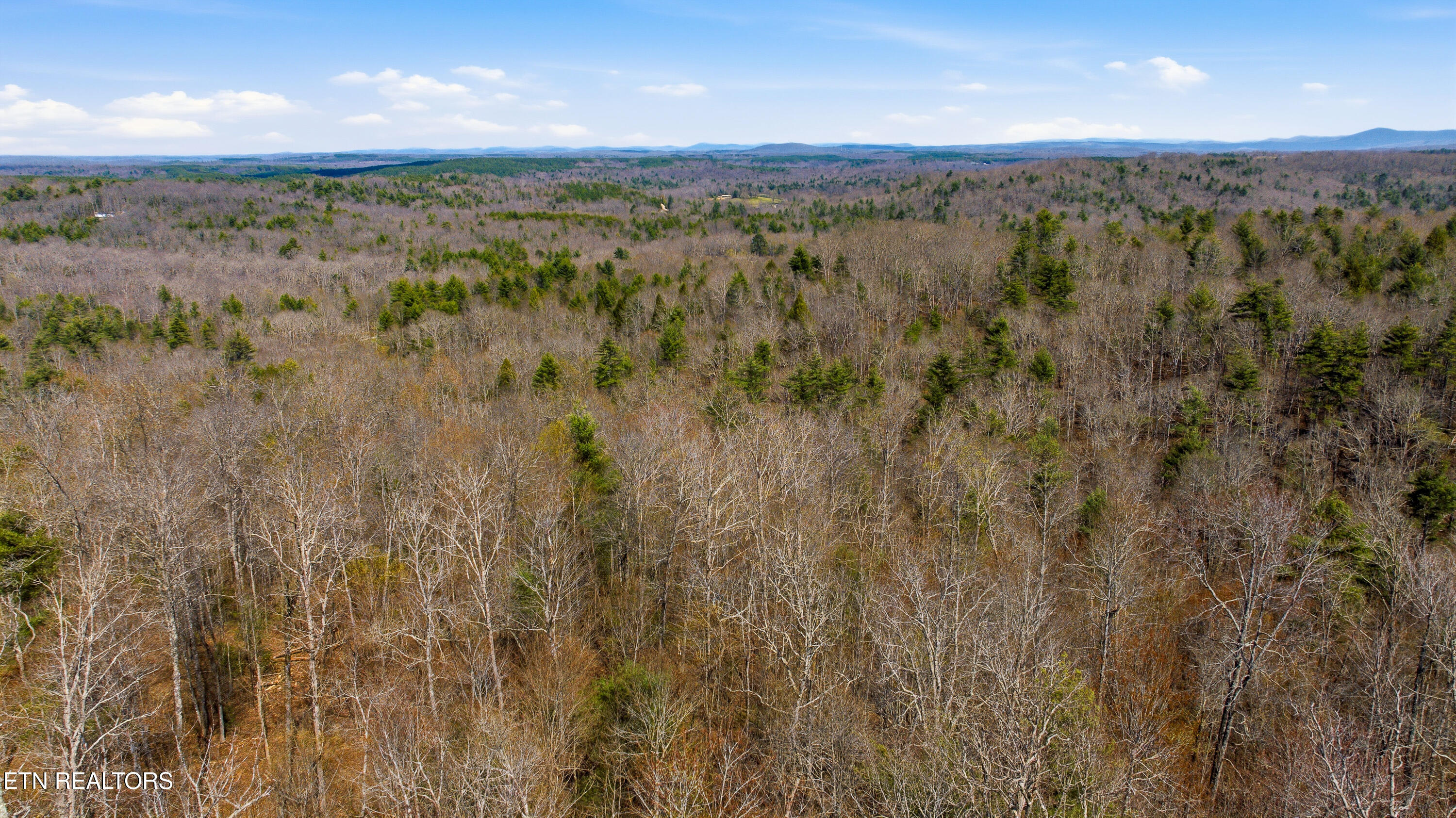 Young Road Robbins, TN 37852 - Photo 30 of 40 dan-29