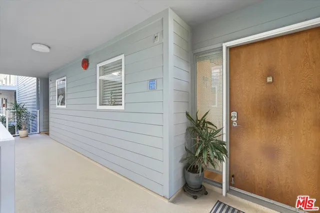 a room with a potted plant and a large window