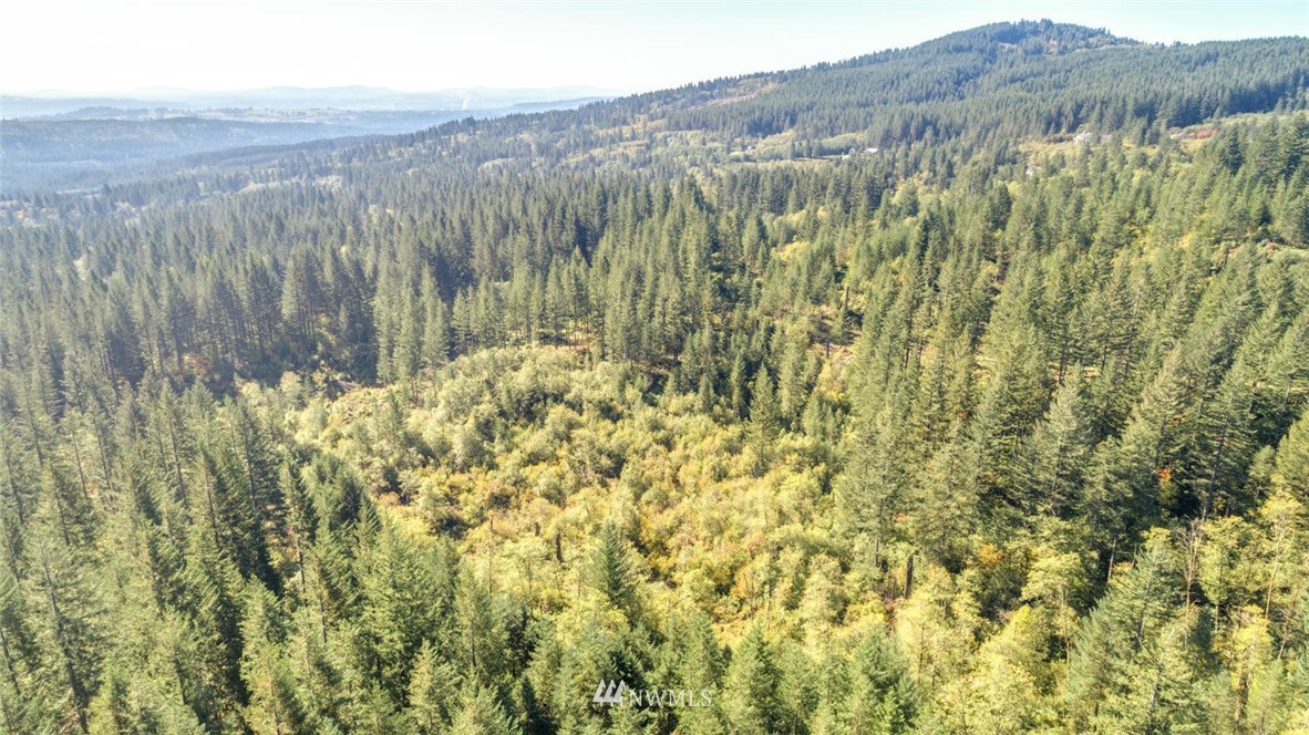 9452 Winters Road Camas, WA 98607 - Photo 1 of 12