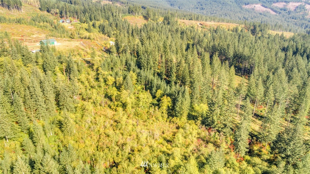 9452 Winters Road Camas, WA 98607 - Photo 3 of 12
