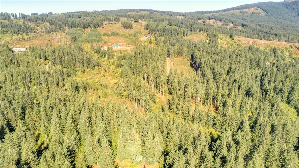 9452 Winters Road Camas, WA 98607 - Photo 6 of 12