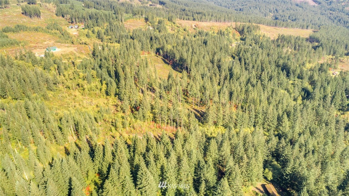 9452 Winters Road Camas, WA 98607 - Photo 7 of 12