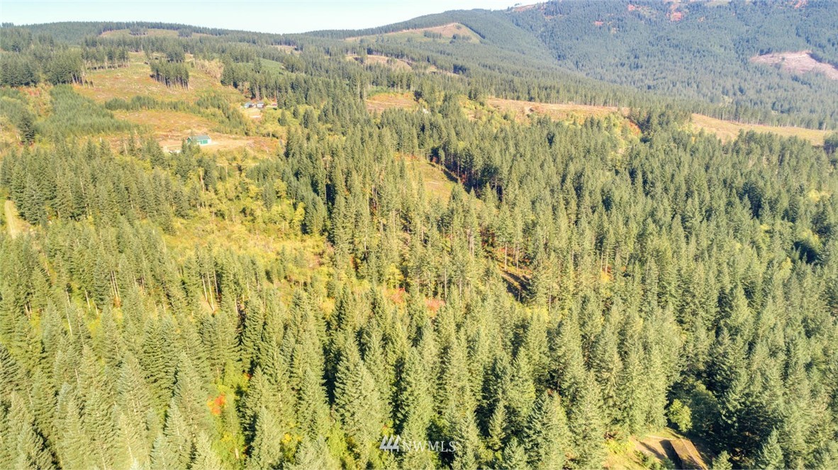 9452 Winters Road Camas, WA 98607 - Photo 8 of 12