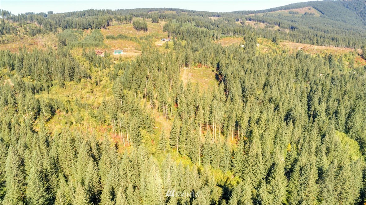 9452 Winters Road Camas, WA 98607 - Photo 9 of 12
