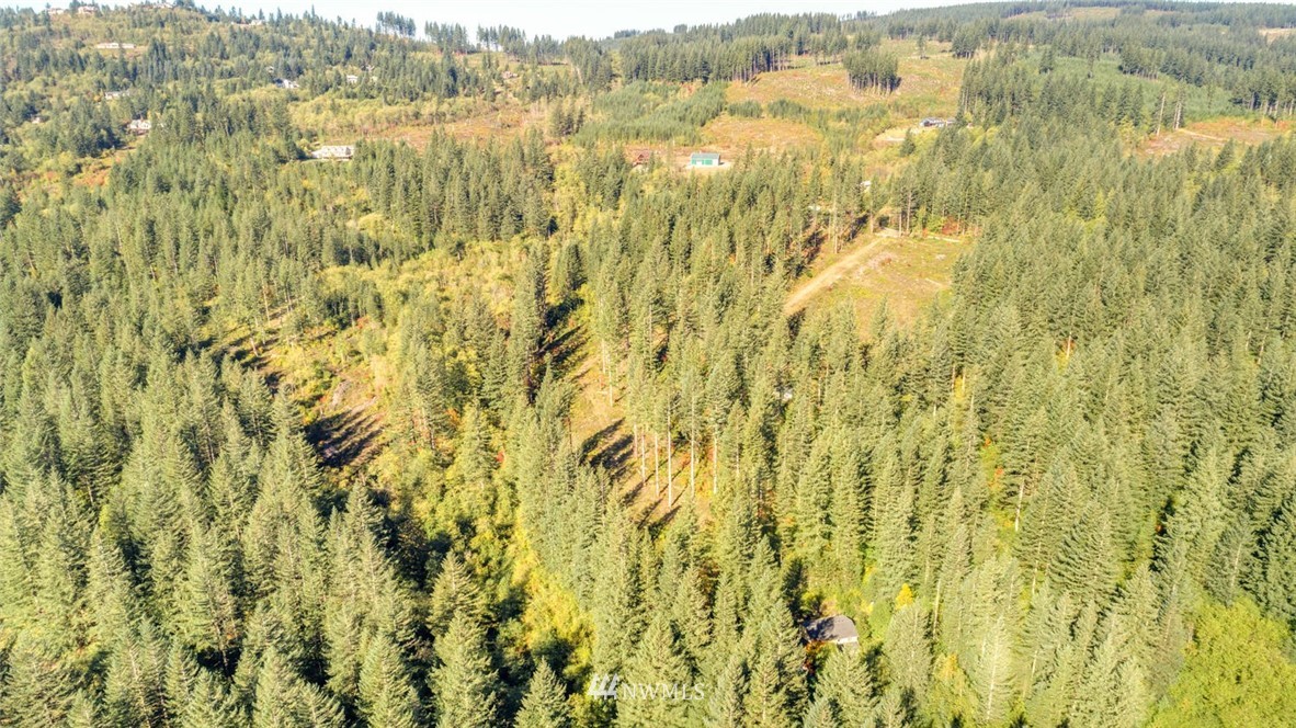 9452 Winters Road Camas, WA 98607 - Photo 10 of 12