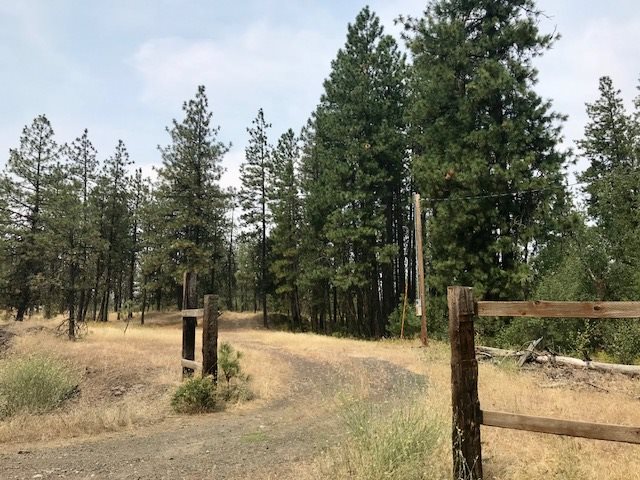 12800 North Craig Road Nine Mile Falls, WA 99026 - Photo 1 of 12 Gallery Image 1
