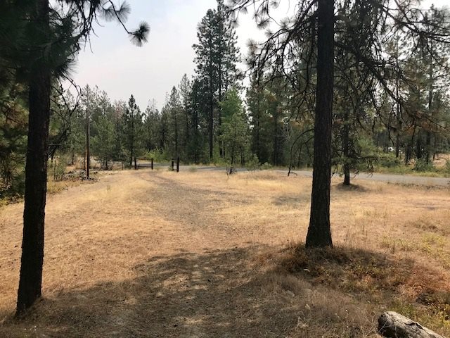 12800 North Craig Road Nine Mile Falls, WA 99026 - Photo 11 of 12 Gallery Image 11
