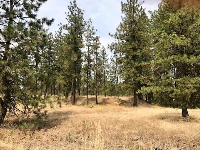 12800 North Craig Road Nine Mile Falls, WA 99026 - Photo 4 of 12 Gallery Image 4