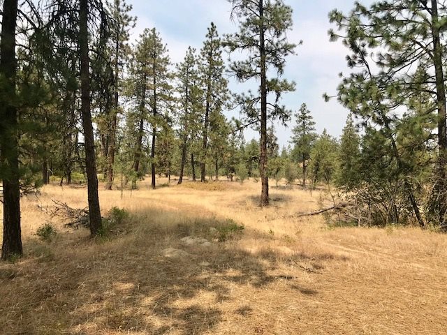 12800 North Craig Road Nine Mile Falls, WA 99026 - Photo 7 of 12 Gallery Image 7