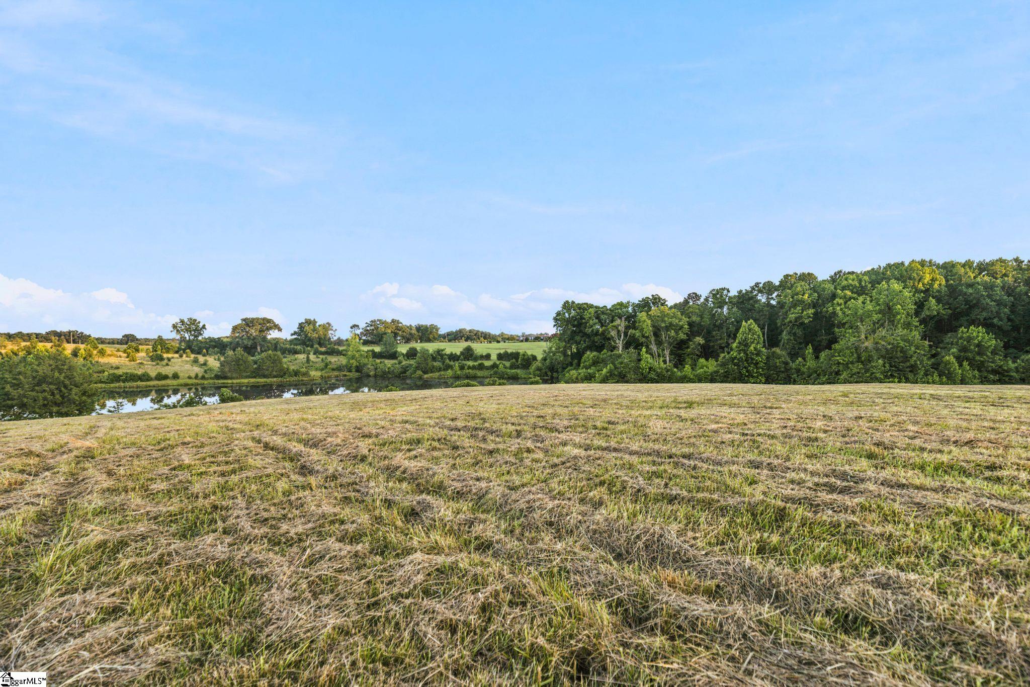 0 252nd Highway Ware Shoals, SC 29692 - Photo 6 of 12