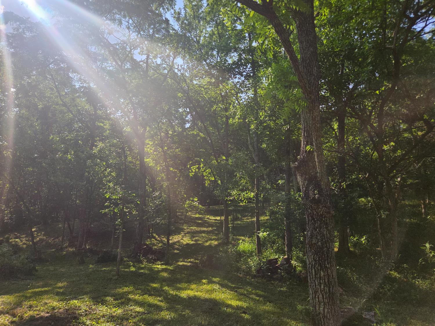 12823 Bethel Ridge Road Florence, IN 47020 - Photo 13 of 24