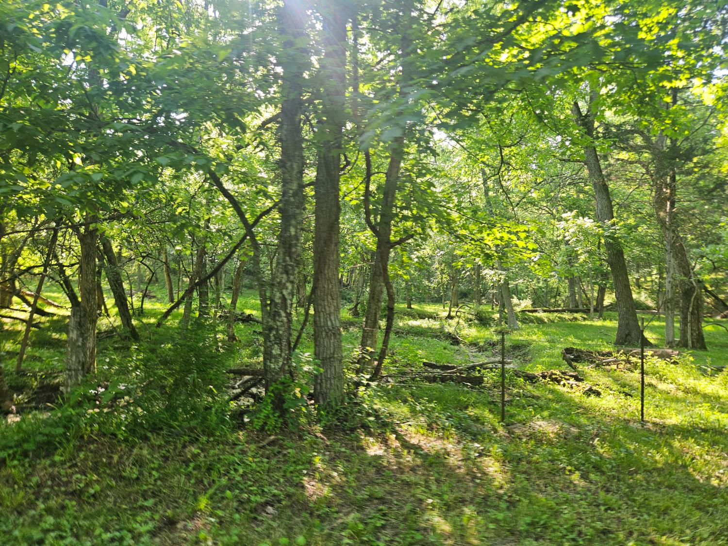12823 Bethel Ridge Road Florence, IN 47020 - Photo 14 of 24