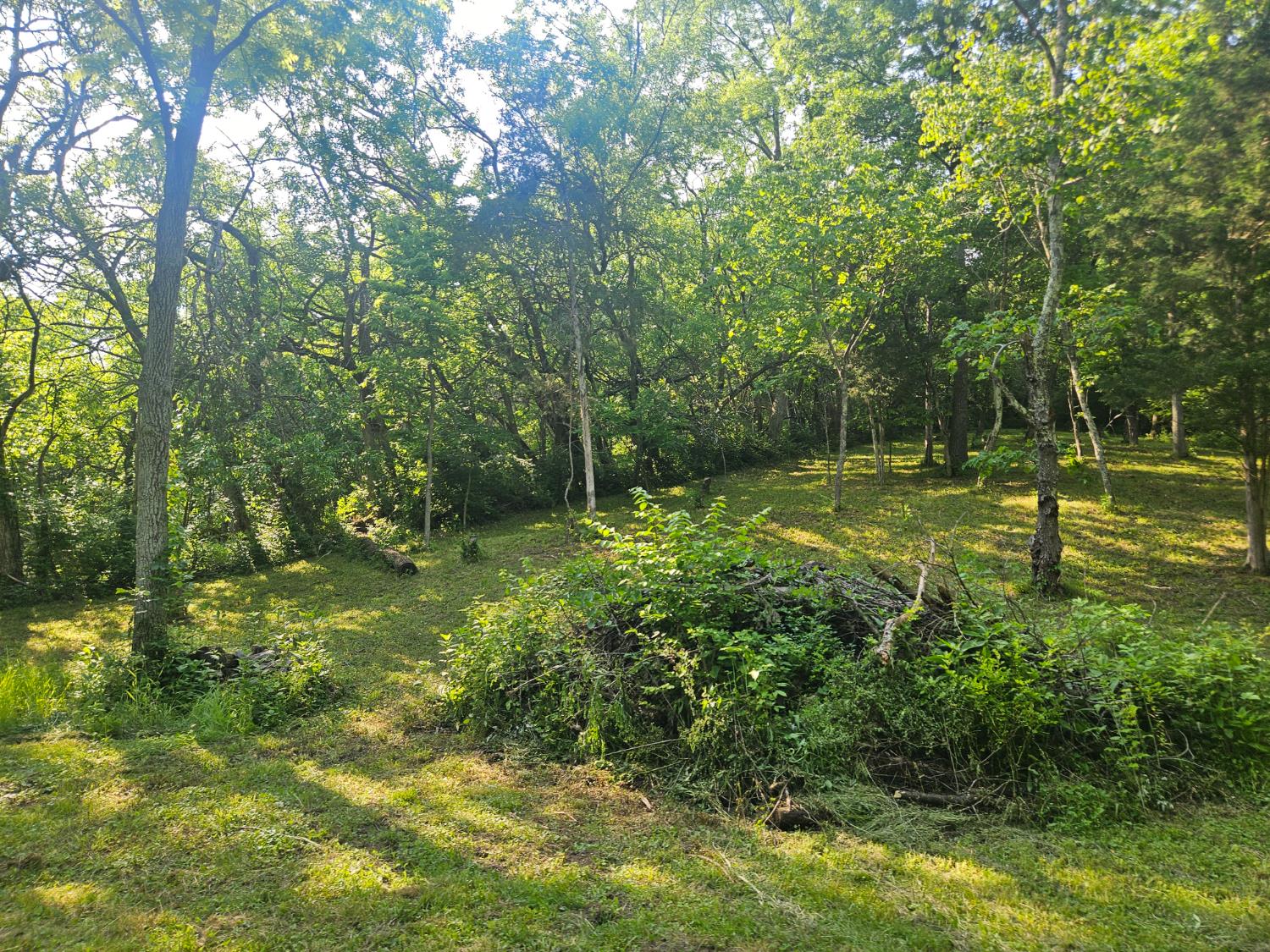 12823 Bethel Ridge Road Florence, IN 47020 - Photo 15 of 24