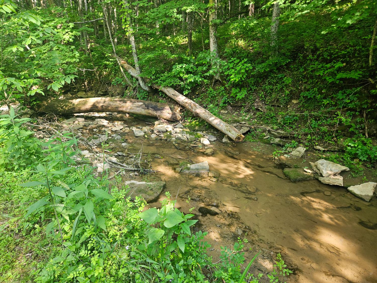 12823 Bethel Ridge Road Florence, IN 47020 - Photo 17 of 24