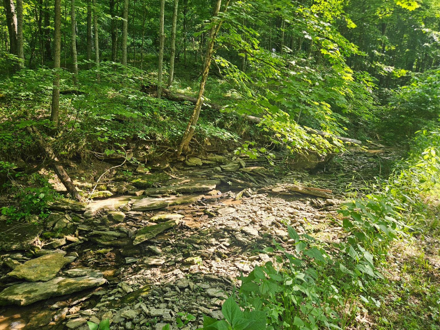 12823 Bethel Ridge Road Florence, IN 47020 - Photo 18 of 24