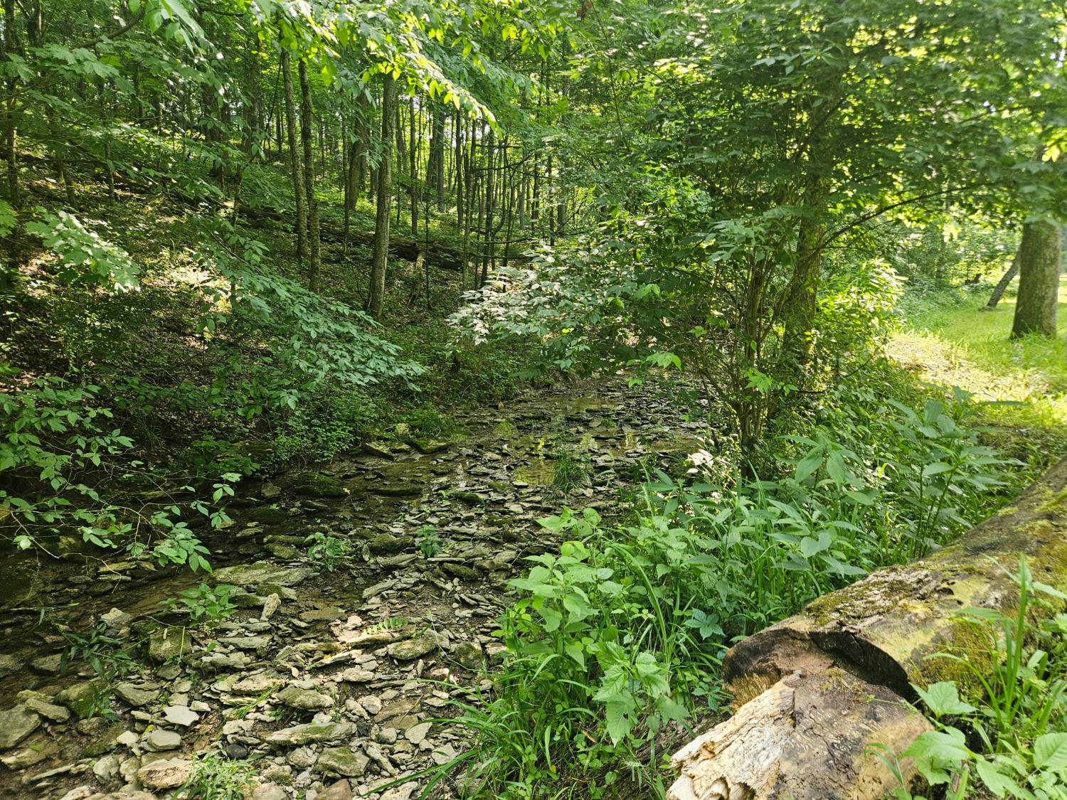 12823 Bethel Ridge Road Florence, IN 47020 - Photo 24 of 24