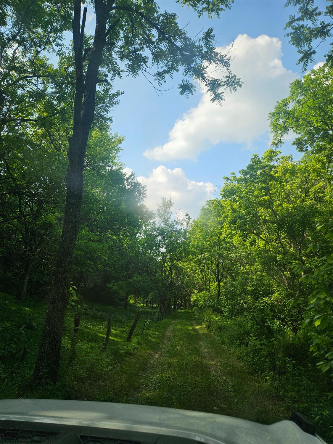 12823 Bethel Ridge Road Florence, IN 47020 - Photo 3 of 24