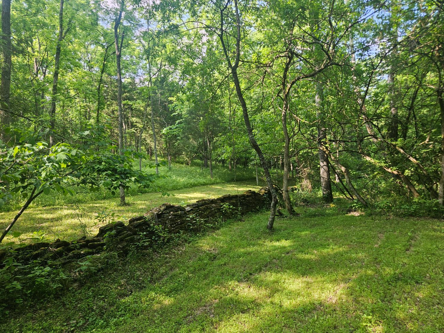 12823 Bethel Ridge Road Florence, IN 47020 - Photo 6 of 24