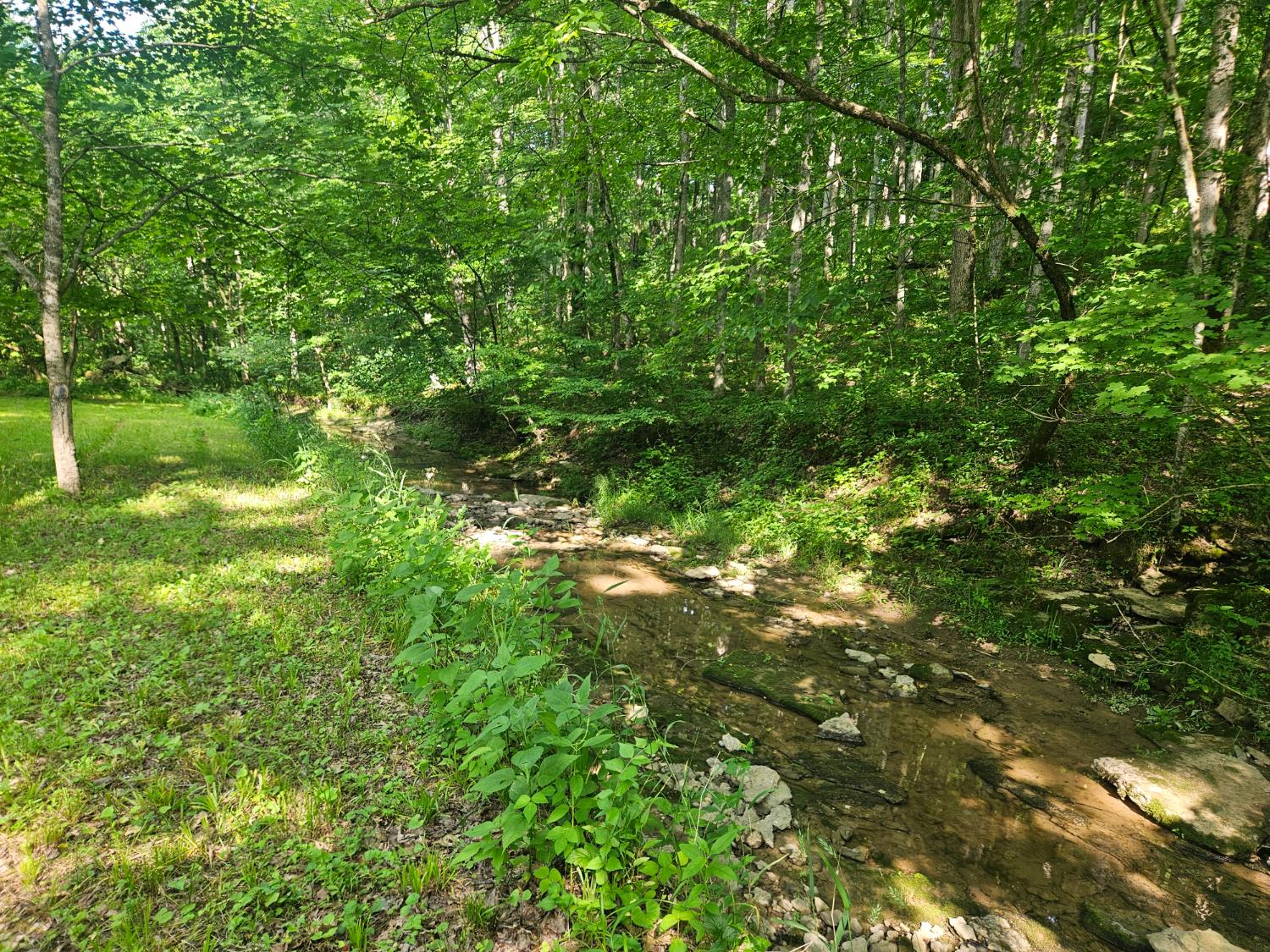 12823 Bethel Ridge Road Florence, IN 47020 - Photo 7 of 24